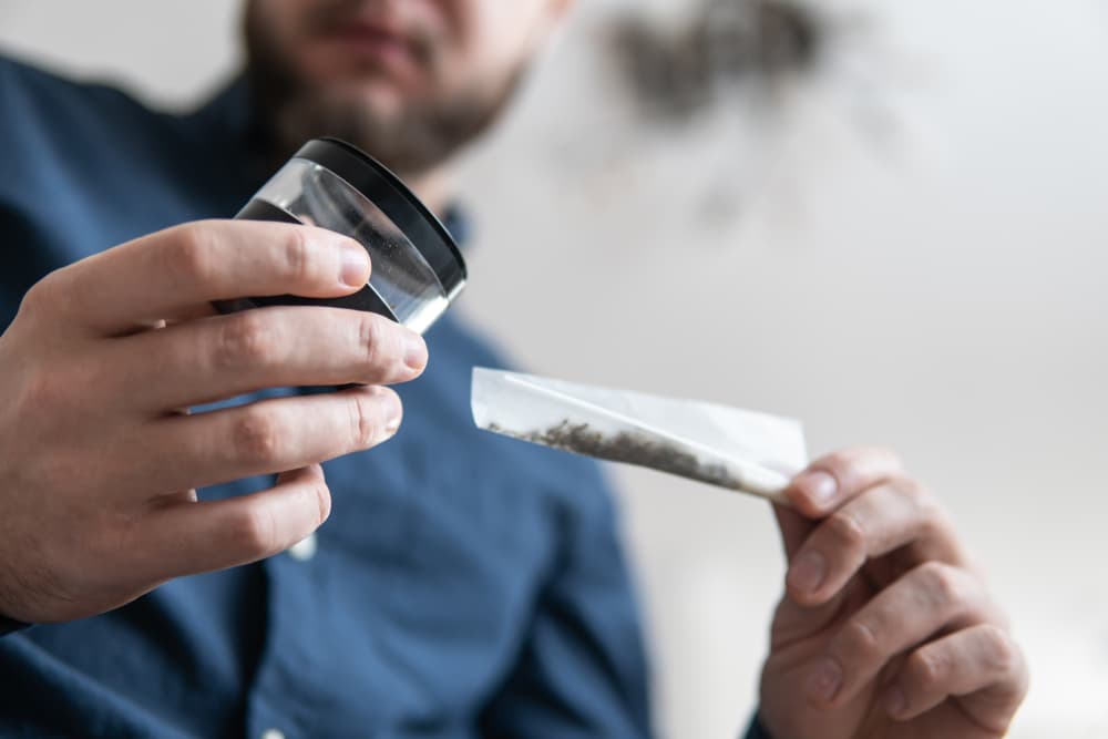 Close-up of hands rolling a joint with cannabis buds in the background, representing drug paraphernalia concept.