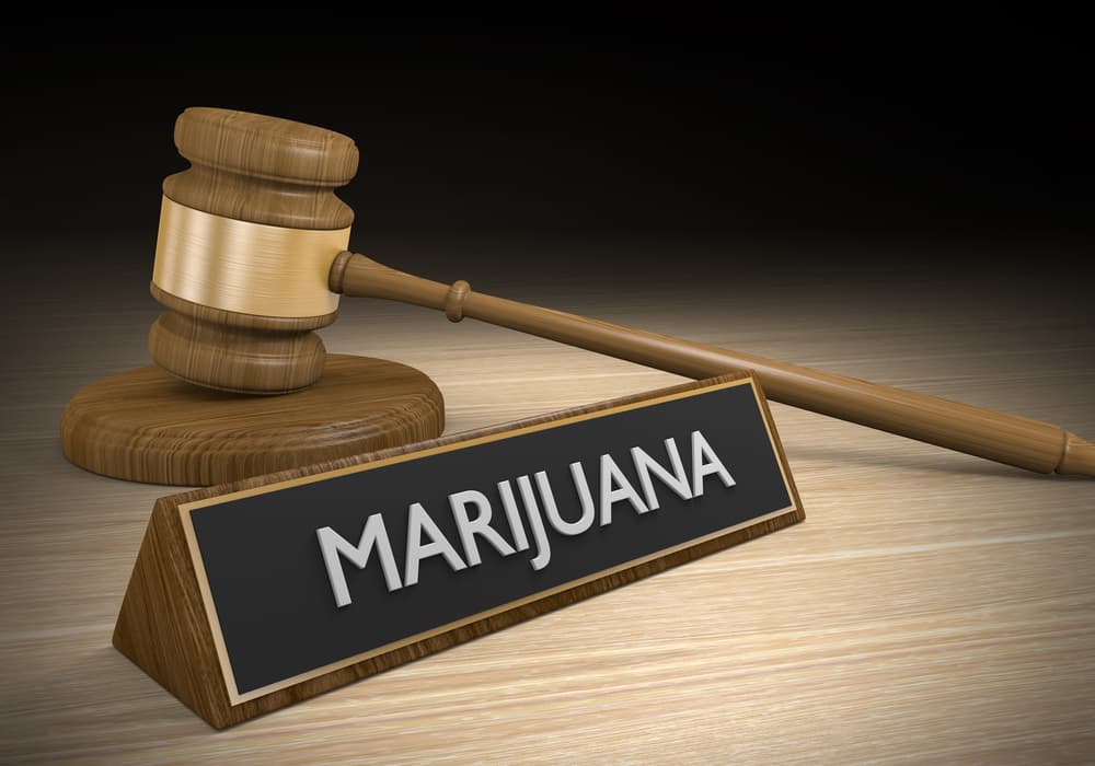 Laws regarding the legalization of marijuana and medical drug therapy focus on regulating the use, possession, and distribution of cannabis and other medical substances.