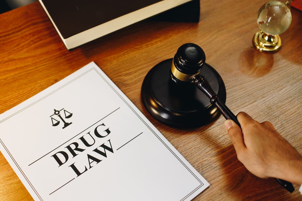 Drug Law legal documents with gavel at the side.