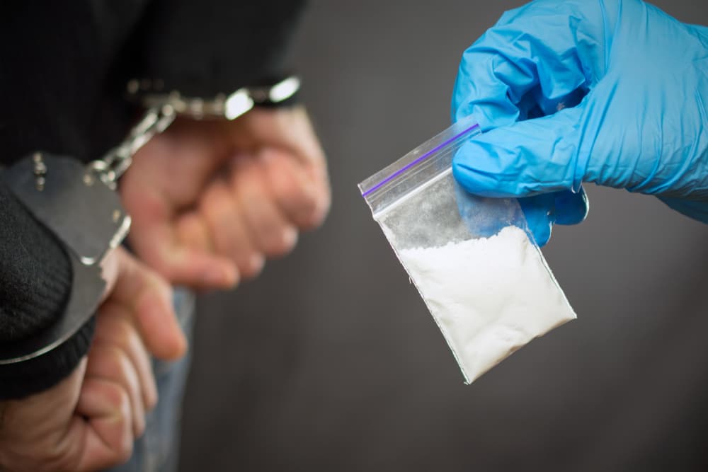 Police detention drug courier. A police officer finds drugs during the search of drug dealers