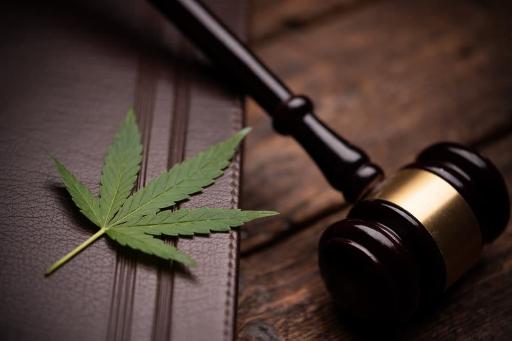 Marijuana leaf and judge gavel on wooden table